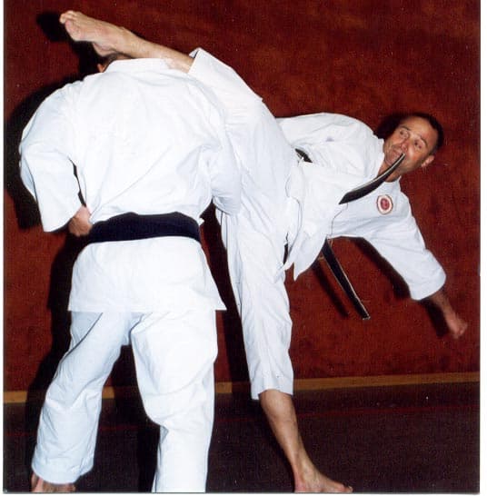 Archiv: Eugen Ushiro Mawashi Geri 2